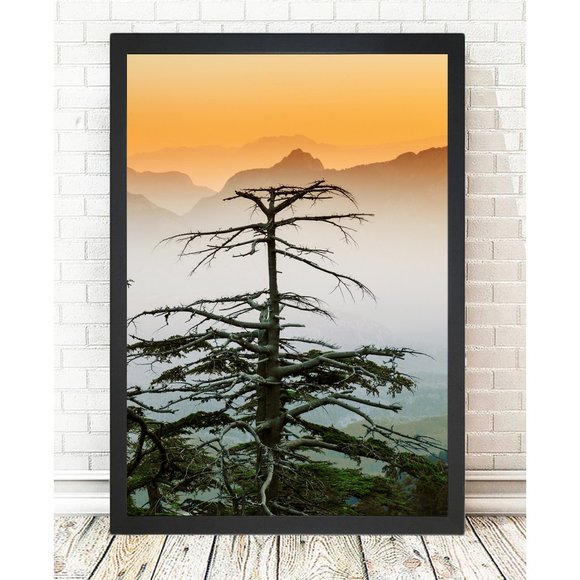 Set of 2 Picture Frames - Nature - Picture 1 of 1